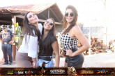 Queima do Alho 2019