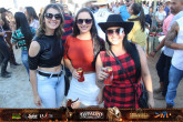 Queima do Alho 2019