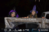 Festa Fantasia BNI Falcon