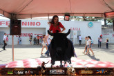Queima do Alho 2019